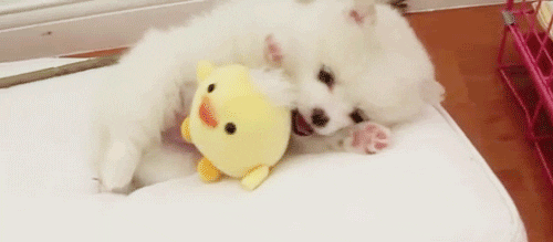 cute babies GIF