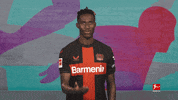 Looking Bayer 04 GIF by Bundesliga
