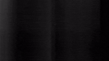 Football Sport GIF by SK Sturm Graz