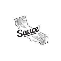 sauceessentials pride california michigan arizona Sticker