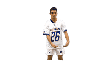 Lacrosse Bluehens Sticker by Delaware Blue Hens