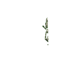Sticker Skeleton Sticker