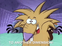 nickrewind nicksplat angry beavers GIF
