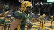 north dakota state football GIF by NDSU Athletics