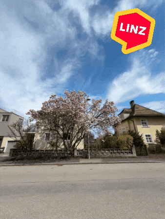 Spring Love GIF by Linz News