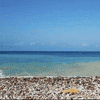 Summer Time Travel GIF