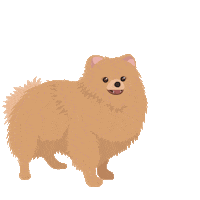 Dog Mimos Sticker by mimosdenos