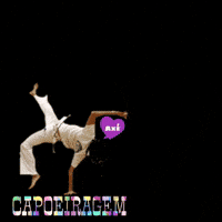 Axe Capoeira GIF by capoeiraluebeckmli