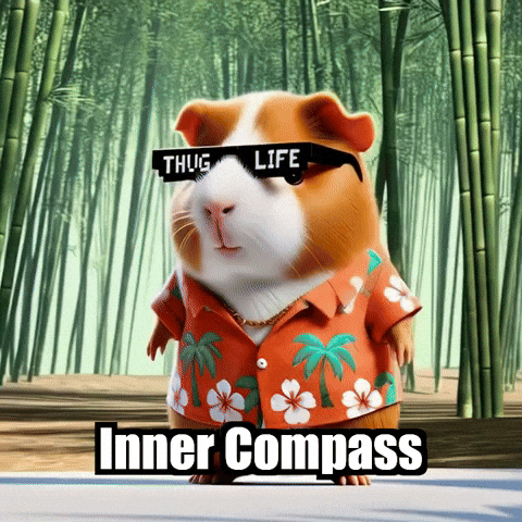 Wisdom Path GIF by Guinea Gambino