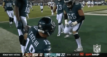 2018 nfl football GIF by NFL