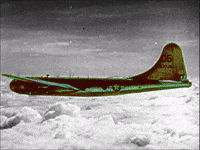 Flying Black And White GIF