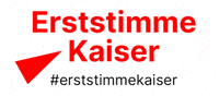 Dielinke GIF by Die Linke Brandenburg