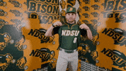 Baseball Bison GIF by NDSU Athletics