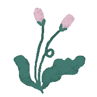 Flowers Love Sticker