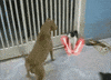 GIF by Demic