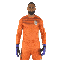 Heroisl Mumbaicityfc Sticker by Indian Super League