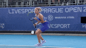 Sizikova GIF