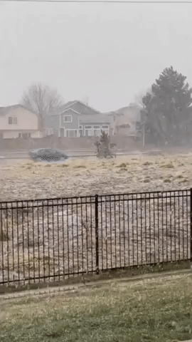 Spring Snow Takes Aurora, Colorado, Resident By Surprise