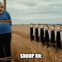 Snoop Dog GIF by Fiverr