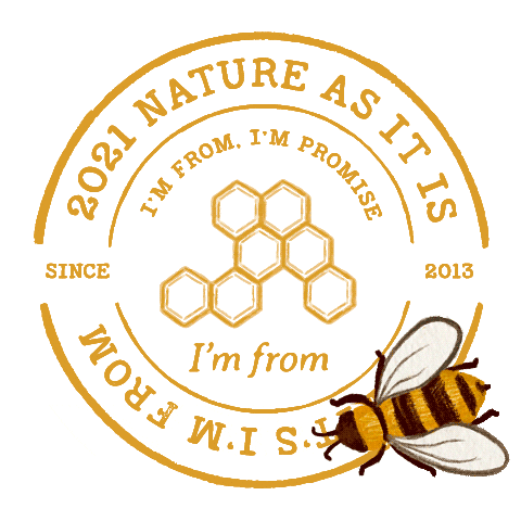 imfrom giphyupload bee honey 나무 Sticker