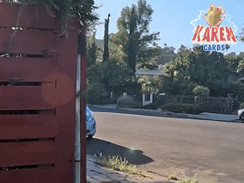 karencardstcg giphyupload side eye karen peekaboo GIF