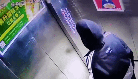 qwerpoiu22ppop giphyupload GIF