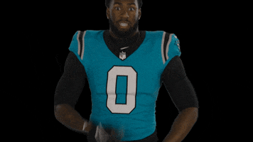 North Carolina Football GIF by Carolina Panthers