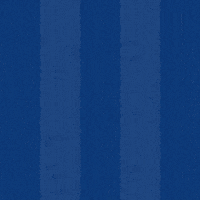 Football Goal GIF by Odense Boldklub