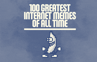 Internet GIF by giphydiscovery