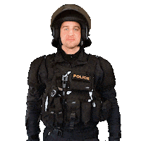 Clap Police Sticker by Policie České republiky