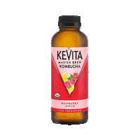 Lemon Kombucha Sticker by KeVita Drinks