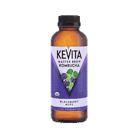 Kombucha Blackberry Sticker by KeVita Drinks