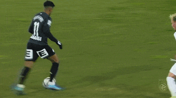 Goal Bundesliga GIF by SK Sturm Graz