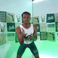 South Florida Horns Up GIF by USF Athletics