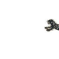 Tiger Dement Sticker