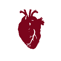 Heart Love Sticker