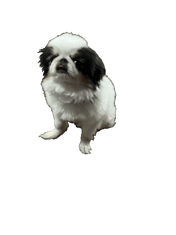 Gary Sticker by Libbie Higgins