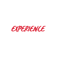 Travel Celebrate Sticker by ViennaTouristboard