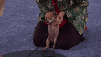 GIF by Hallmark Channel