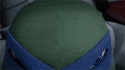 nickelodeon GIF by Teenage Mutant Ninja Turtles