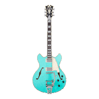 Guitar Dangelico Sticker by Tarara