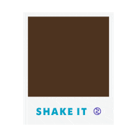 Snapper Studio Sticker