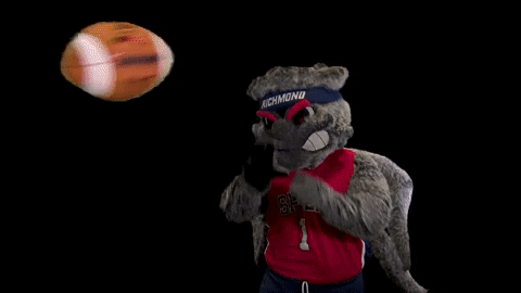 Football Spider GIF by Richmond Spiders
