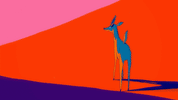 GIF by Sarah Schmidt