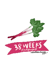 Fruit Pregnancy Sticker