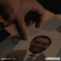 amazon picturedayvibes GIF by Gringo Movie