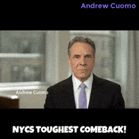 New York Vote GIF by Andrew Cuomo
