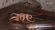 food court GIF by F*CK, THAT'S DELICIOUS