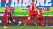 1 fc cologne football GIF by 1. FC Köln