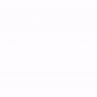 Fleckvieh_aut cow kuh freistadt rzo GIF